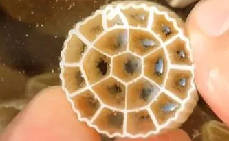 news-333-206 news-333-206